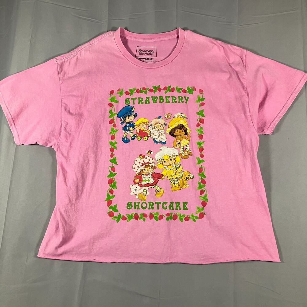 Strawberry Shortcake Characters T-Shirt Men’s Extra Large Pink‎ WildBrain 2023